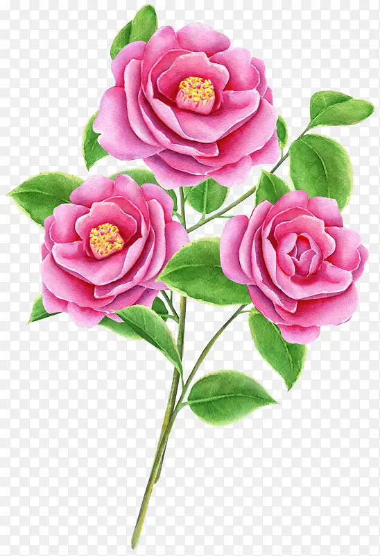 �ֻ���֦-������