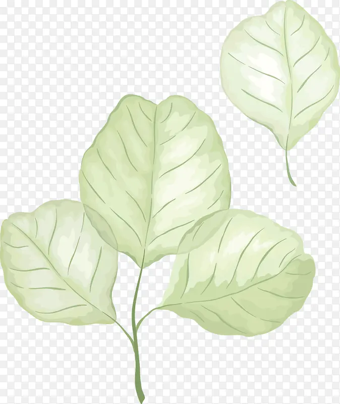 ��ͨˮ��Ҷ��װ��-������