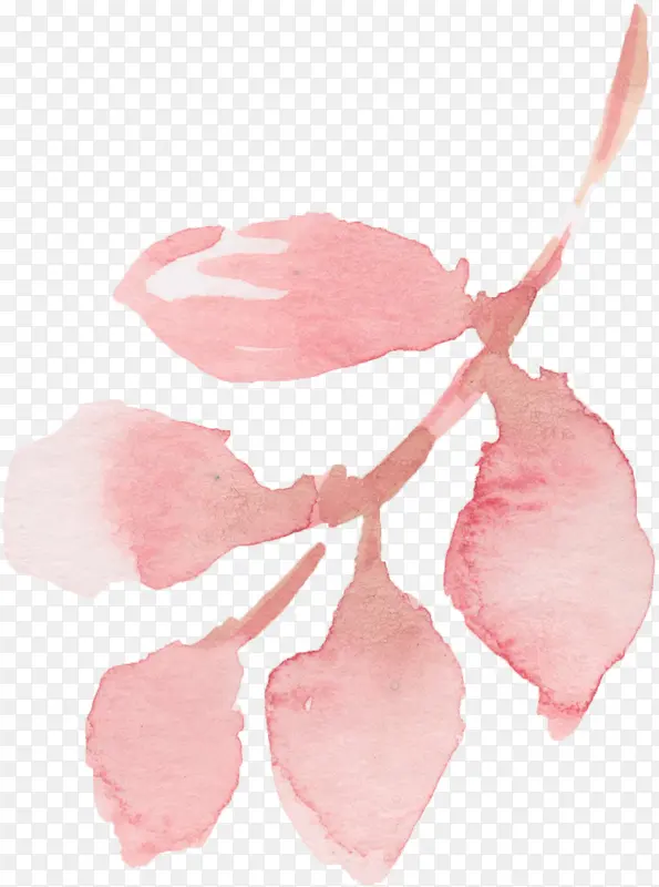 ˮ��Ҷ��-������