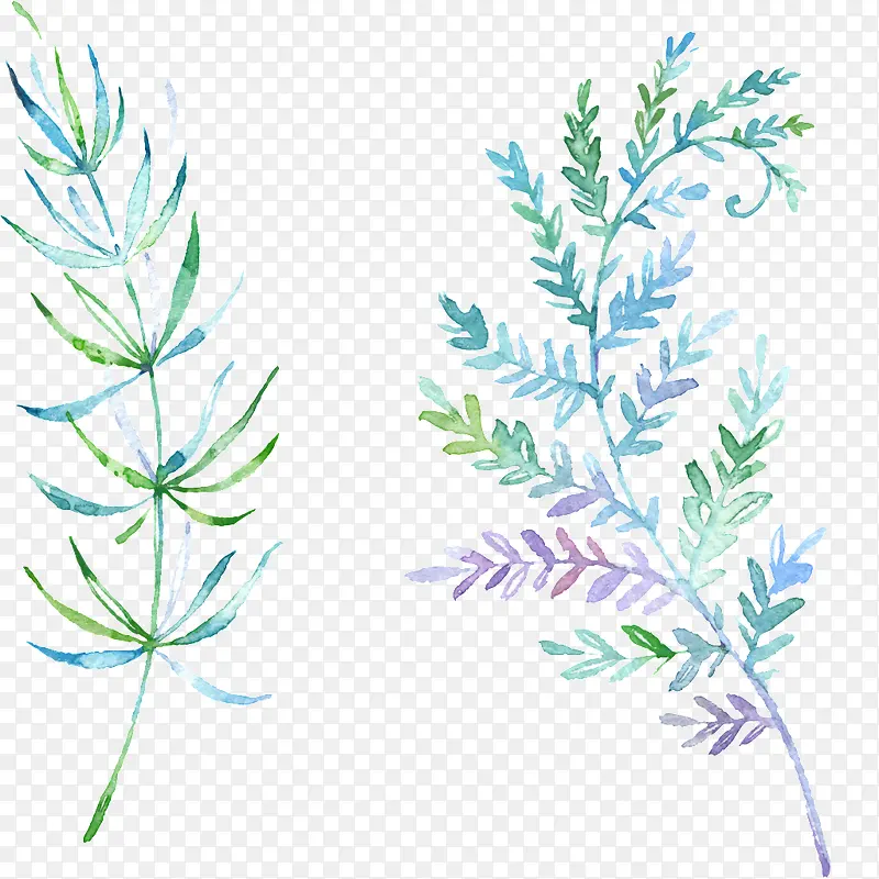 ˮ��Ҷ��-������