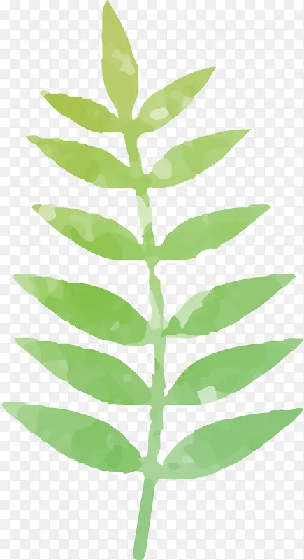 ˮ��Ҷ��-������