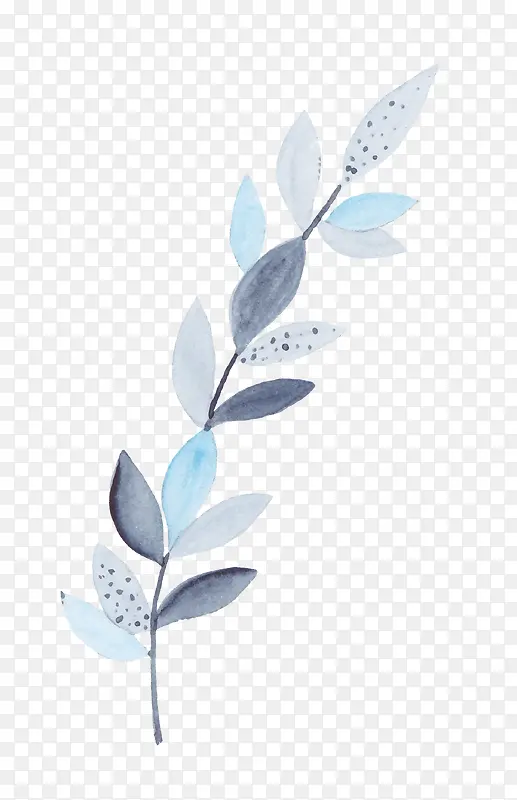 ˮ��Ҷ��-������