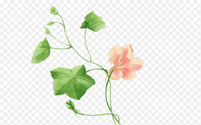 �ֻ滨-������