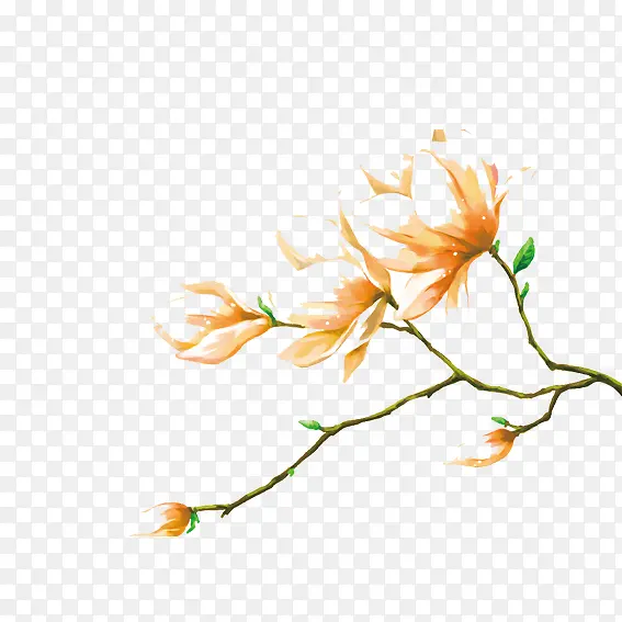 �ֻ滨֦-������