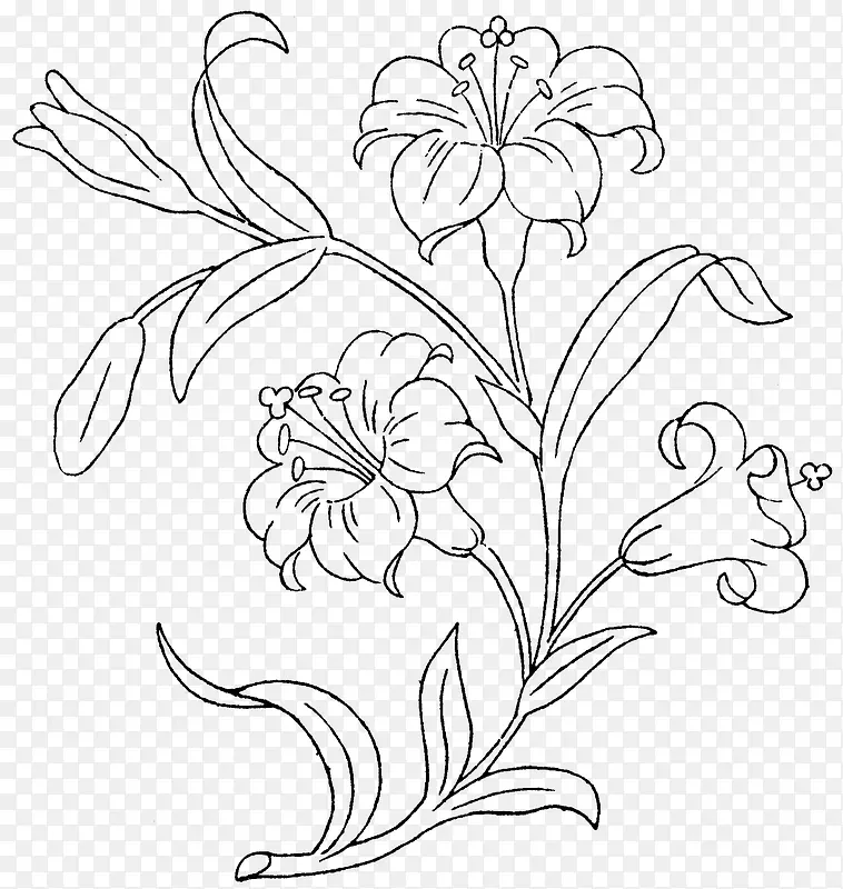 �ֻ�ֲ��-������