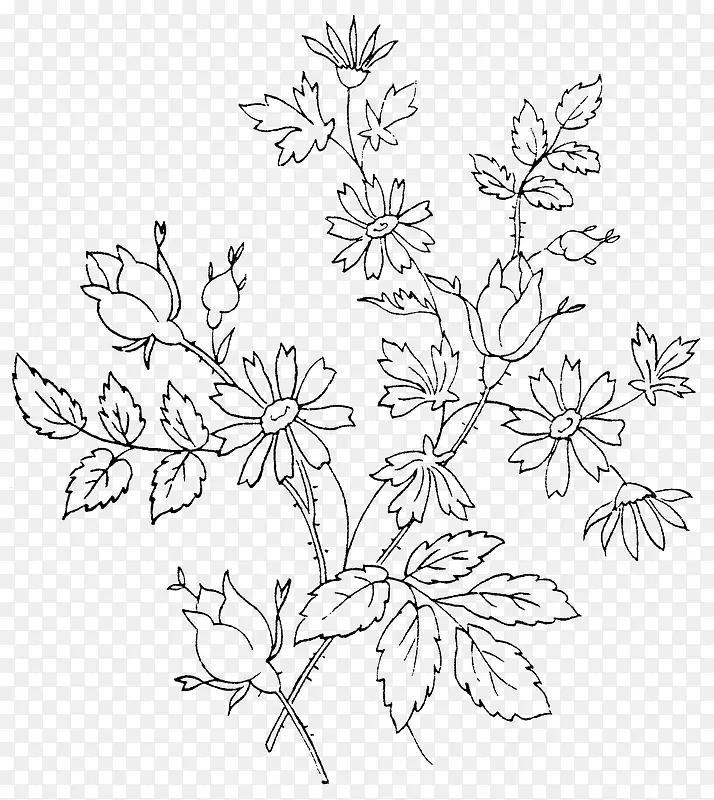 �ֻ�ֲ��-������