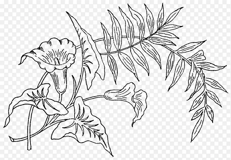 �ֻ�ֲ��-������