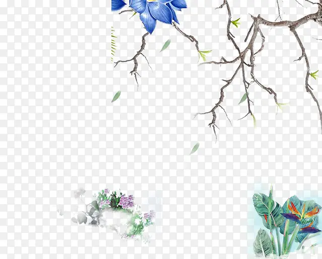 ��֦����-������