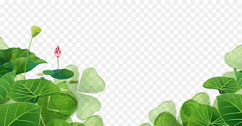 ��ͨ��ɫˮ�ʺ�Ҷ����-������