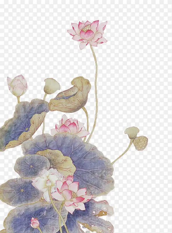 ˮ��Ч����ɫ�ĺ�Ҷ-������