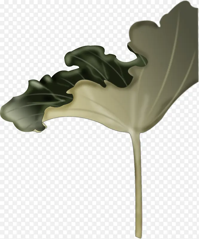 �ֻ���ɫ��Ҷ�廭-������