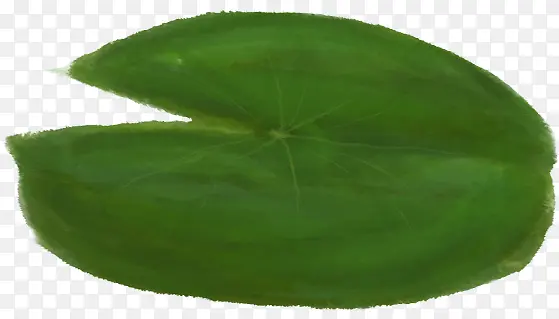 �ֻ���ɫ��Ҷˮ��-������