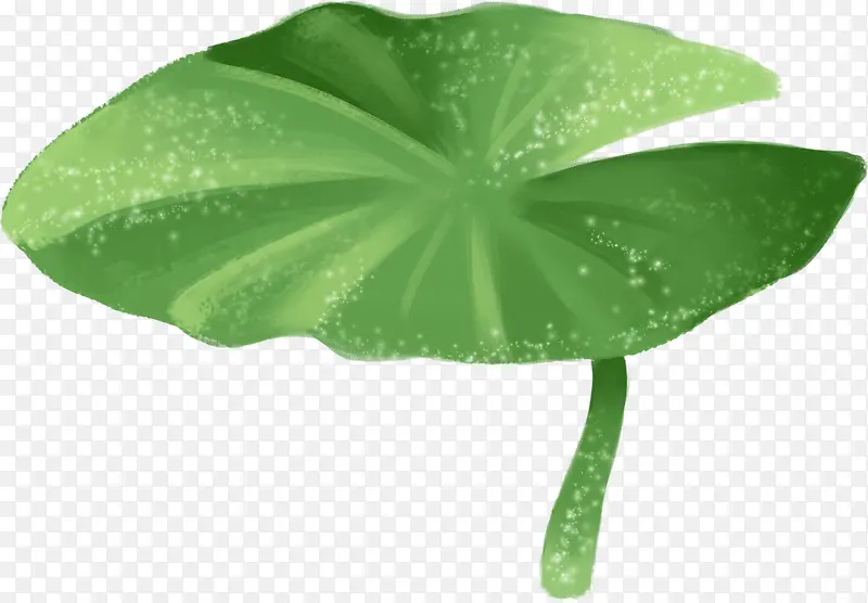 �ֻ洴����ɫ��Ҷ-������