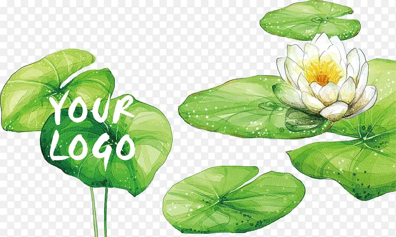 ˮ�ʺɻ���Ҷװ��-������