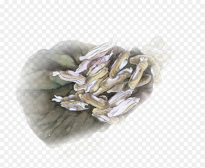 ˮ���ֻ��Ҷ����-������