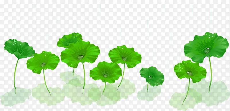 ʸ���ɻ��ز�-������