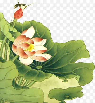 ˮ�ʺ�Ҷ�ɻ�����-������