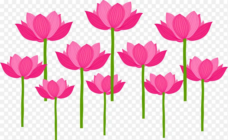 �ֻ�ɻ�-������