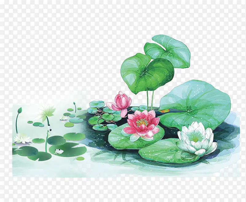 �ֻ�Ůװ��Ҷ-������