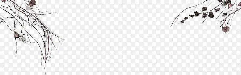 ����֦-������