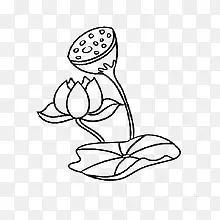 �ɻ���Ҷ��ͨ�ֻ�-������