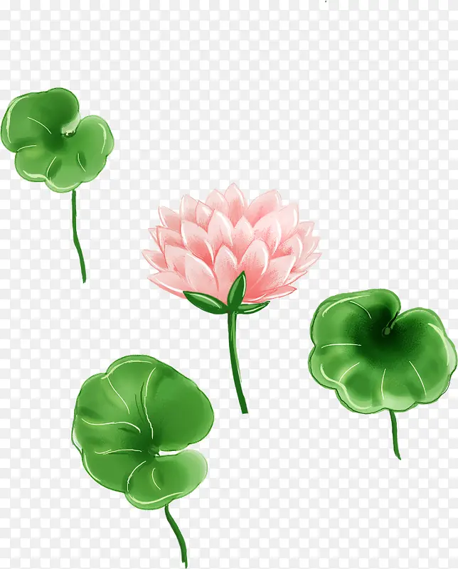 ��ͨ�ֻ�ɻ����º�Ҷ-������