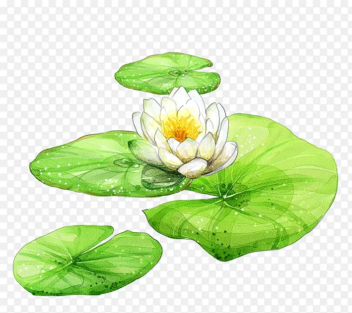 �ֻ�ɻ�-������