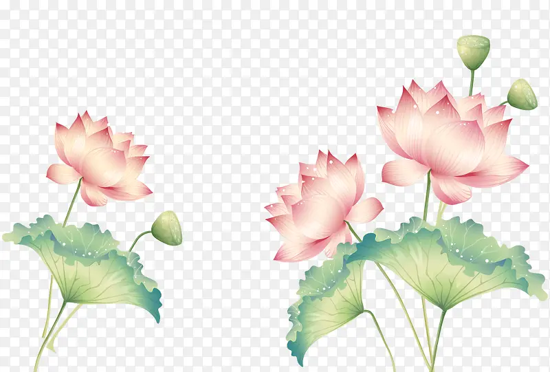 �ֻ�ɻ�-������