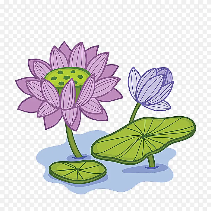 �ֻ�ɻ���Ҷ-������