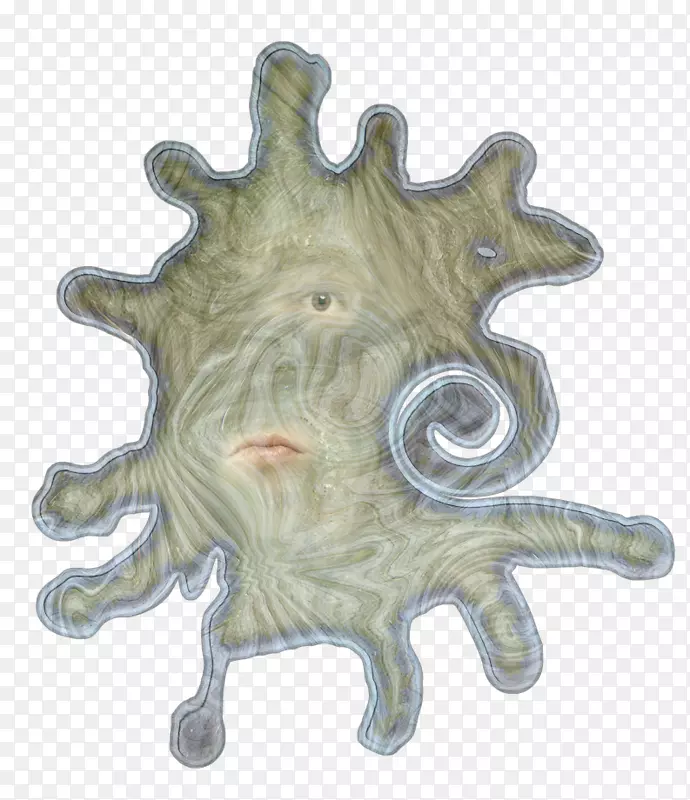 �����Զ����Һ-������