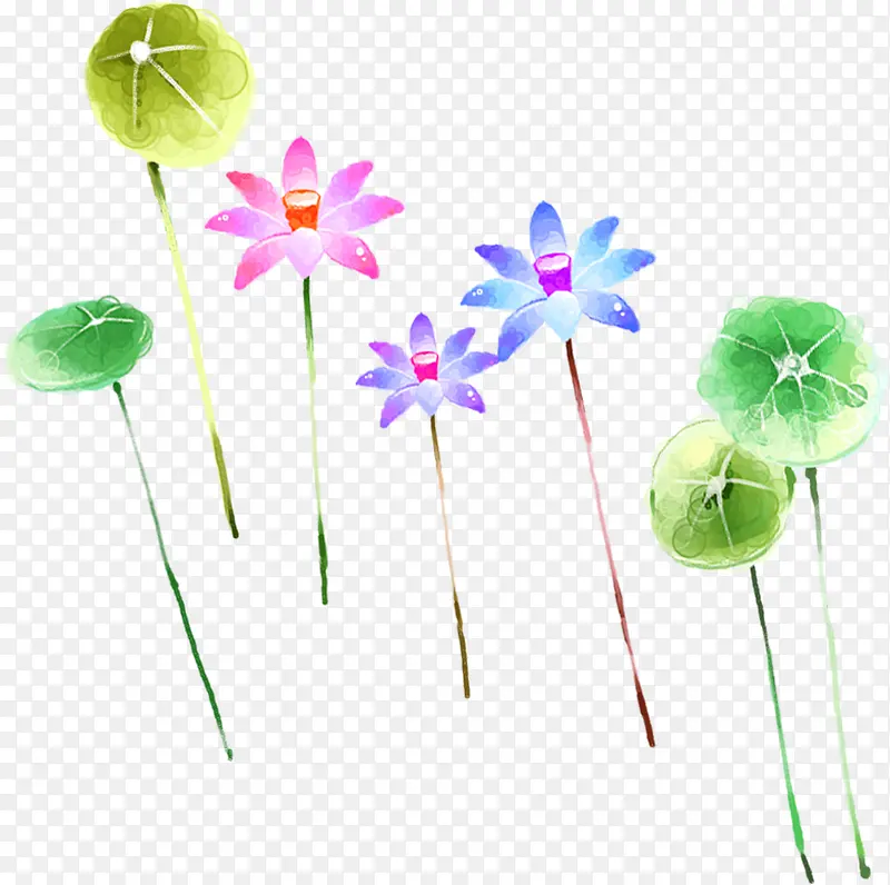 ��ɫ��ͨ�����Ҷ-������