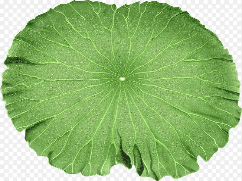 �ֻ濨ͨ�ɰ���Ҷ-������