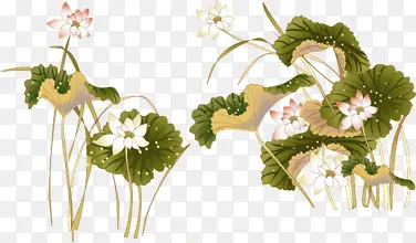 ˮ�ʻ���ɻ���Ҷ-������