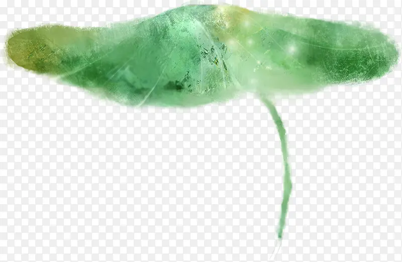 �ֻ��Ҷ����չ��-������