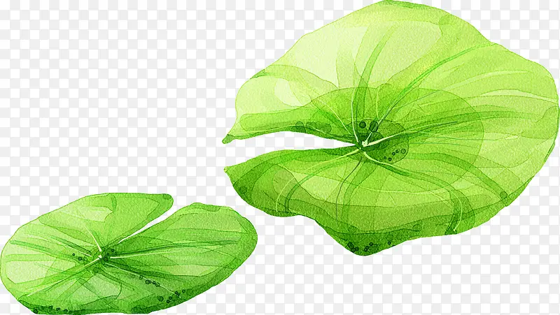 �ֻ��Ҷ�廭�ز�-������