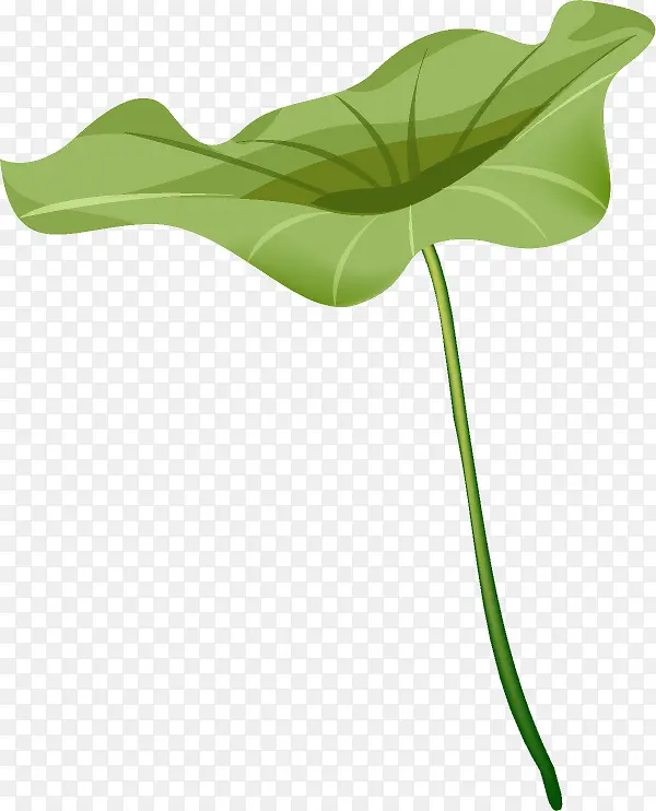 ��Ҷ�廭�����ز�-������