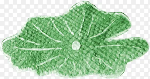 ����ϳ�ˮ�ʺ�Ҷ-������