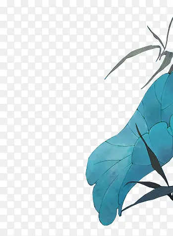 ��ɫ�ŵ�ˮ�ʺ�Ҷ-������