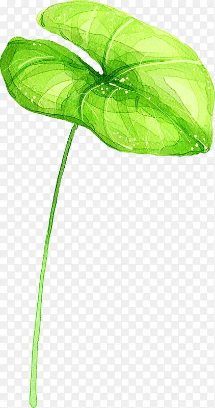 �ֻ�ˮī��Ҷ�廭-������