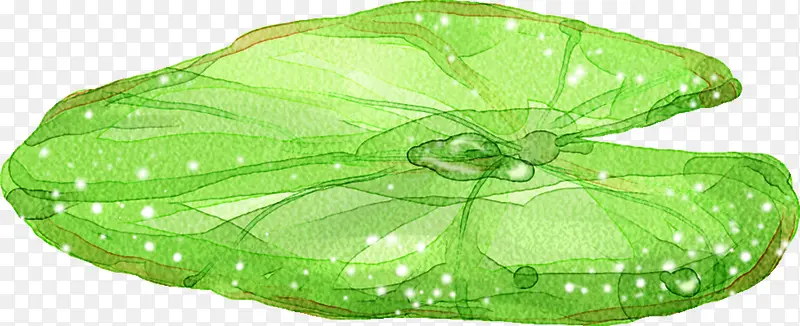 �ֻ������Ҷ�廭-������