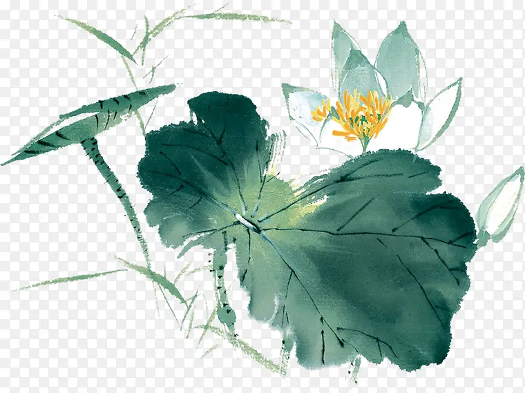 �ֻ�ˮ�ʽ�ʦ�ں�Ҷ-������