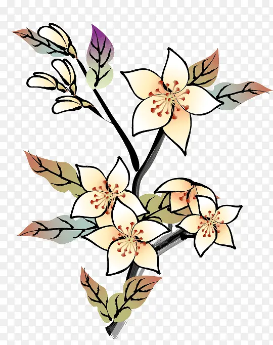 ʸ��ˮ��ֲ���ز�-������