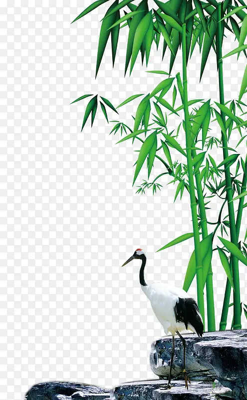 �����ز�-������