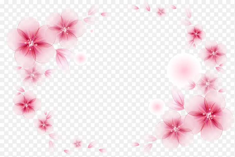 ��ɫ����߿�-������