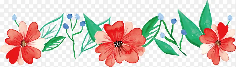 ��ɫˮ��ֲ�ﻨ��-������