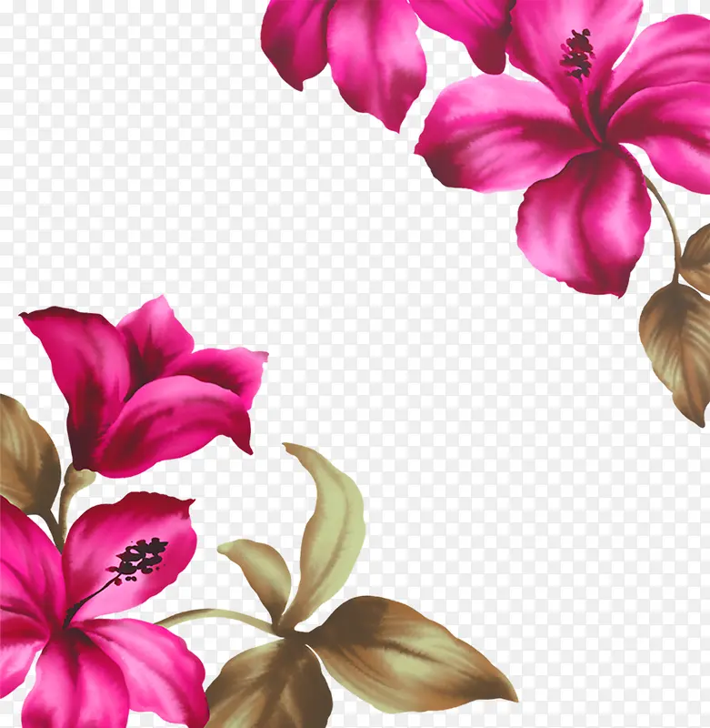 ����߿�-������