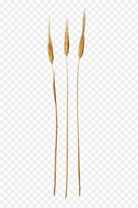 ��������-������