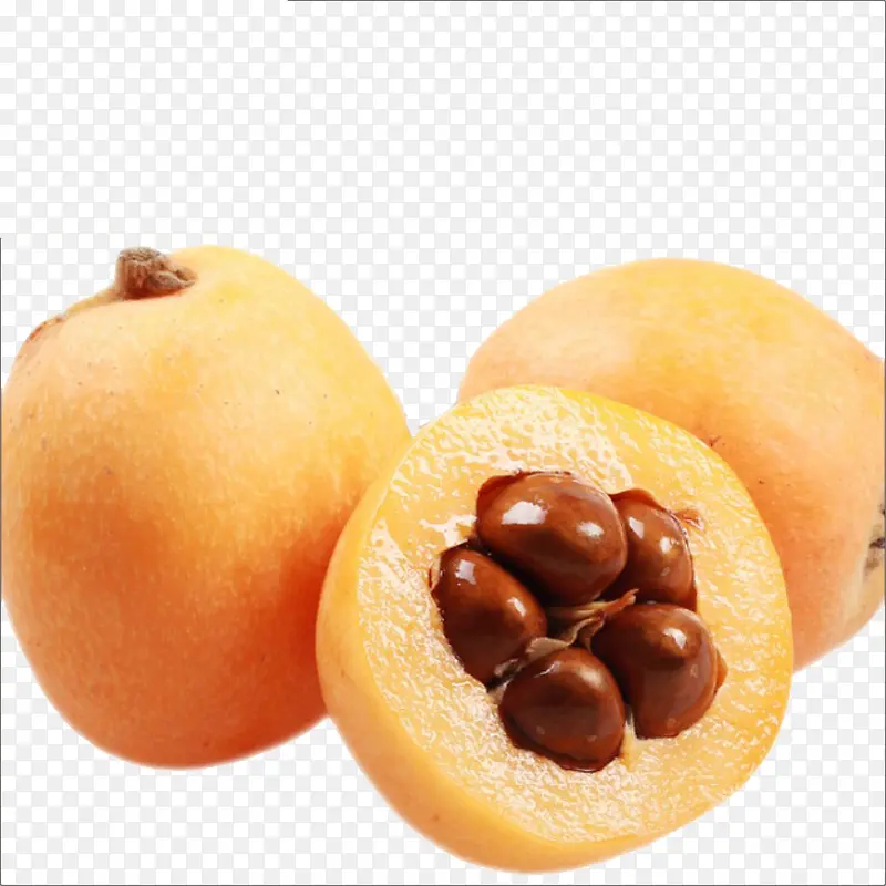 ʳ��ԭ��-������