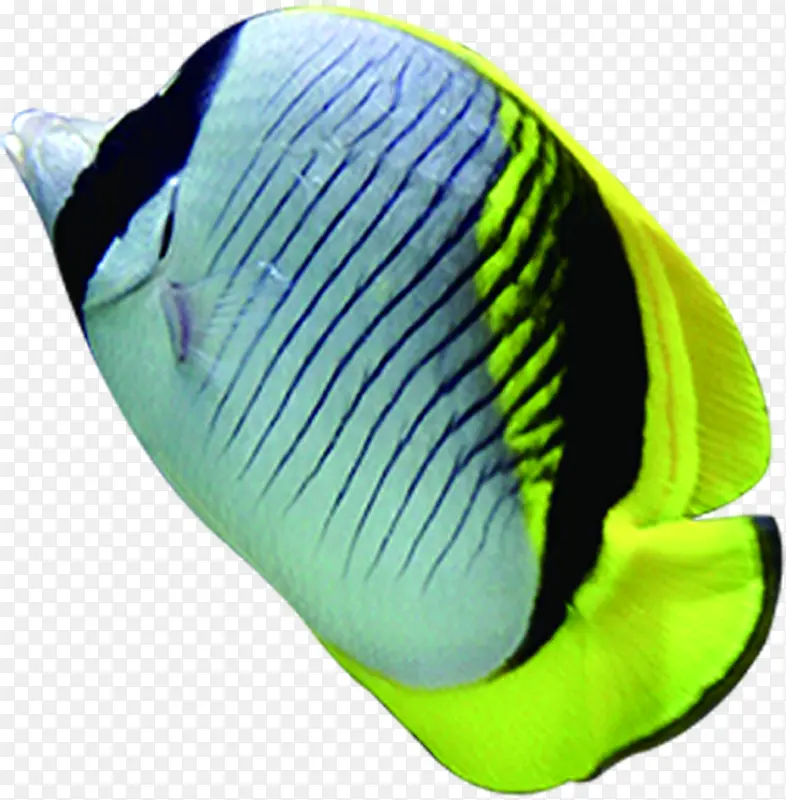 ������Ӱ���׺���С����-������