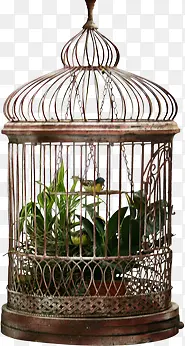 ��Ӱ�������������ϲȵ-������